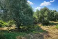 Atterrir 11 000 m² Megali Panagia, Grèce