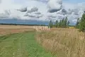 Land 2 000 m² Gorodetsky District, Russia