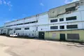 Manufacture 4 619 m² in Krychau, Belarus
