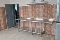 Gewerbefläche 167 m² Alitten, Litauen