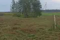 Atterrir  Zhabino, Russie