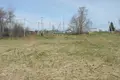 Land  Bolsevrudskoe selskoe poselenie, Russia
