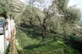 Land 1 room  Agia, Greece