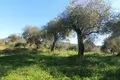 Земельные участки 1 комната  Дассия, Греция