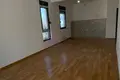Wohnung 1 zimmer 67 m² Podgorica, Montenegro