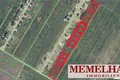 Grundstück 900 m² Raddeilen, Litauen