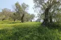 Działki 1 pokój  Kokkini, Grecja