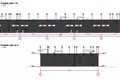 Propiedad comercial 830 m² en Riga, Letonia