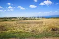 Działki 15 000 m² Nea Roda, Grecja