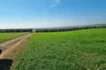 Parcelas 20 000 m² Nea Triglia, Grecia