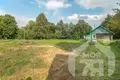 House 48 m² Liebiadzieva, Belarus