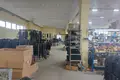 Commercial property 2 360 m² in Mahilyow, Belarus