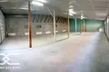 Almacén 876 m² en Zdanovicy, Belarús