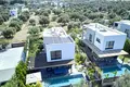 Villa de 3 habitaciones 170 m² Agios Epiktitos, Chipre del Norte
