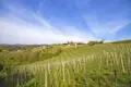 Established business 330 m² in Raka, Slovenia