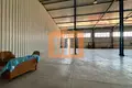 Manufacture 225 m² in Bashkia Durres, Albania