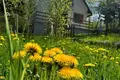 Dom 2 pokoi 74 m² Kolasin, Czarnogóra