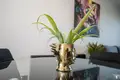 Apartamento 3 habitaciones  Torrevieja, Španjolska