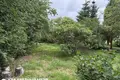 Земельные участки  Михановичи, Беларусь
