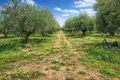 Land 22 000 m² Nea Triglia, Greece