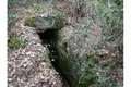 Grundstück 70 000 m² Opcina Liznjan, Kroatien