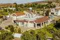 Haus 4 Schlafzimmer 300 m² Agia Varvara, Zypern