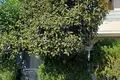 Appartement 3 chambres  en Limassol, Chypre