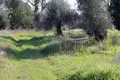 Land 1 room 120 m² Ano Korakiana, Greece