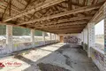 Gewerbefläche 288 m² Barauski sielski Saviet, Belarus