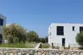 Mansion 3 bedrooms 180 m² Agios Epiktitos, Northern Cyprus