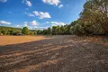 Land 6 750 m² Kassandrino, Greece