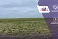 Grundstück  Smilavicki sielski Saviet, Belarus