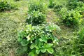 Haus 55 m² Nischni Nowgorod, Russland