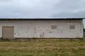 Ferienhaus 169 m² Rudzienski sielski Saviet, Belarus