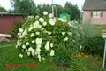 House 27 m² Putcynski sielski Saviet, Belarus