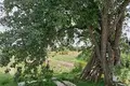 House 30 m² Gorodetsky District, Russia