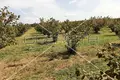 Nieruchomości inwestycyjne  Opcina Koncanica, Chorwacja