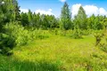 Grundstück  Sliziskiai, Litauen