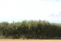 Land in Greece, Greece