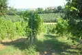 Haus 8 zimmer 350 m² Terni, Italien