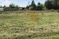 Land  Vielikarycki sielski Saviet, Belarus