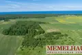 Parcelas  Bendikai, Lituania