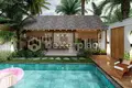 Villa mit 2 Schlafzimmern  Seminyak, Indonesien