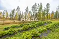 Maison 6 chambres 147 m² Salla, Finlande