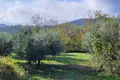 Земельные участки  Мотовун, Хорватия
