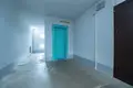 1 room apartment 47 m² Scomyslicki sielski Saviet, Belarus