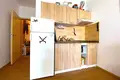 1 bedroom apartment 29 m² Capital City of Prague, Czech Republic
