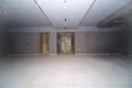 Gewerbefläche 429 m² in Minsk, Belarus