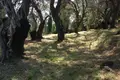 Land 1 room  Agii Deka, Greece