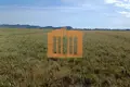 Land 10 000 m² Bashkia Durres, Albania